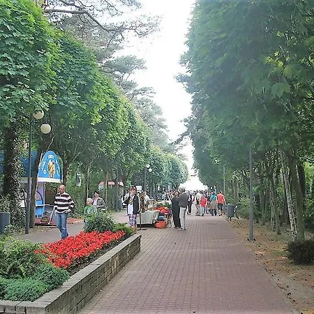 Miedzymorze - Wypoczynkowe * Jurata