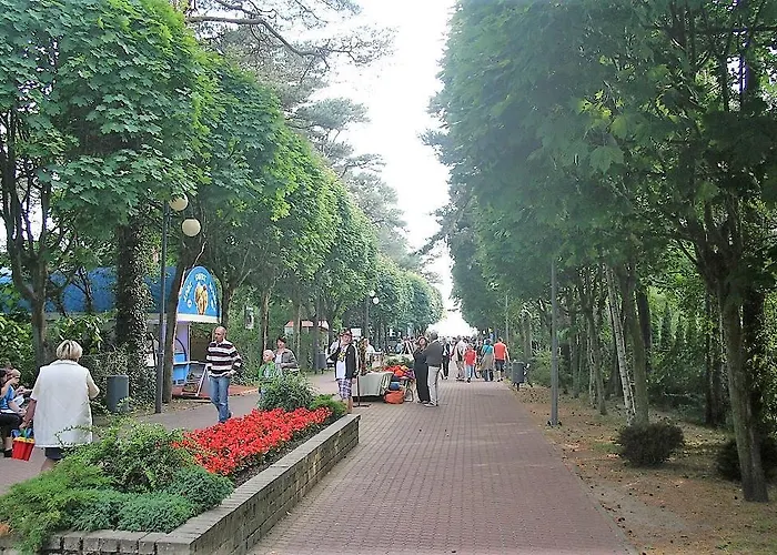 Miedzymorze - Wypoczynkowe * Jurata